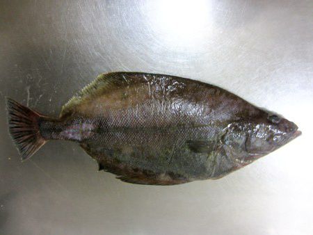�@���J���C=�C�e�J���C