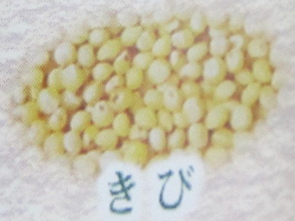 �L�r�i�o�j