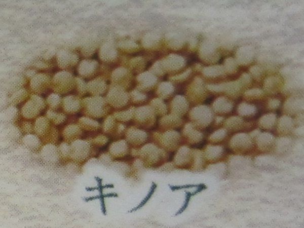 �L�m�A