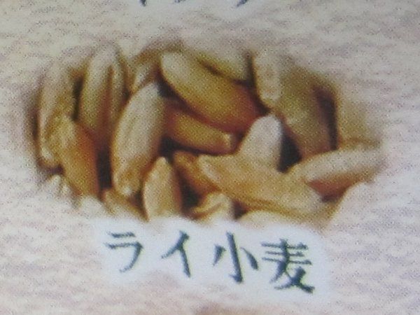 ���C����