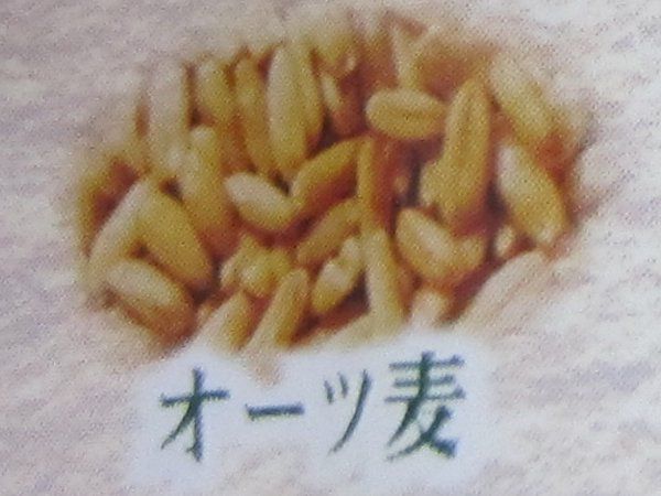 �I�[�c��