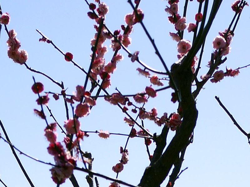�鍻��t7�i���コ���������j