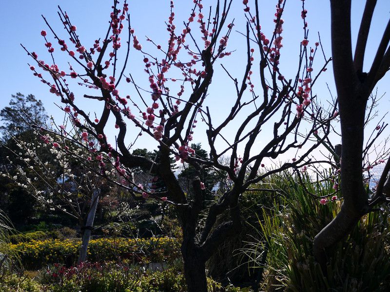 �鍻��t7�i���コ���������j