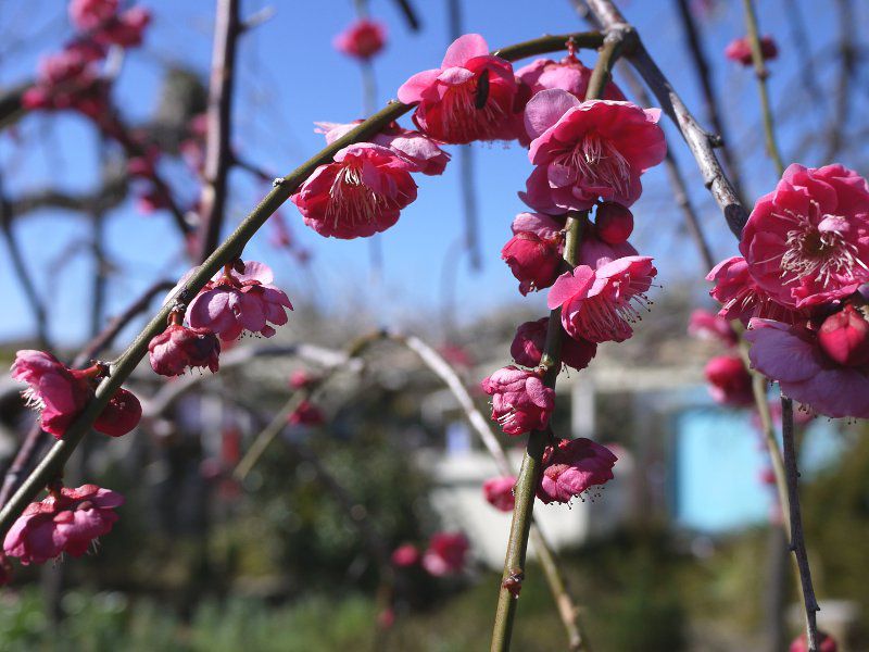 �E�� ���g�i�Z���F�i��~�j