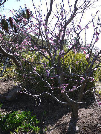 �M�ܑ�t�i���Ђ��������j