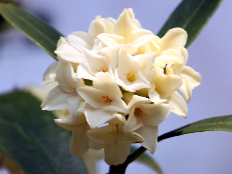 �W���`���E�Q