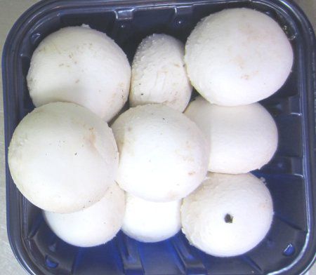 �}�b�V�����[��(mushroom)