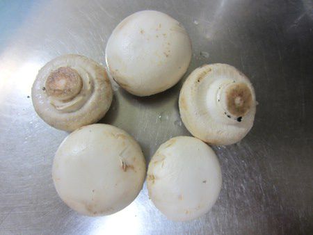 �}�b�V�����[���imushroom�j
