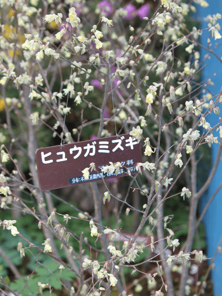 �q���E�K�~�Y�L