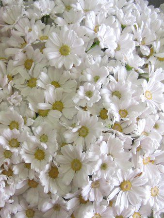 �T�C�l���A18