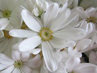 �T�C�l���A23