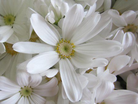 �T�C�l���A23