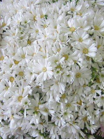 �T�C�l���A9