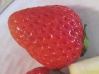 �����ق̂��ƃt�W���