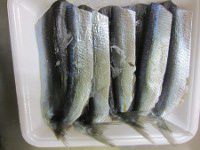 �t���C�p�E������