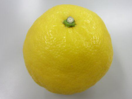 �R�i�c�i���āj