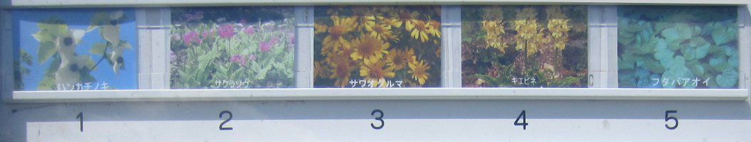����1