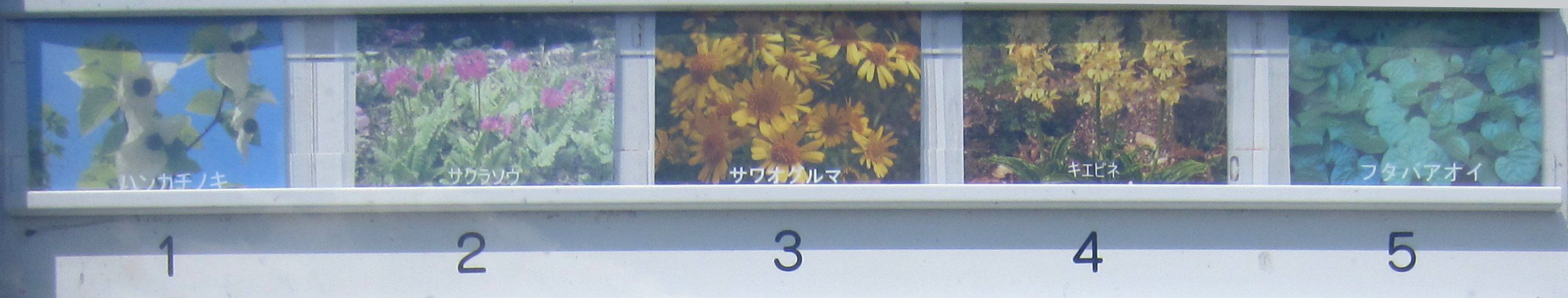����1