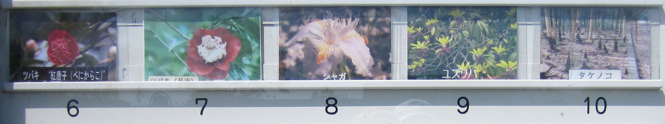 ����2