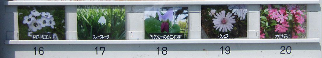 ����4