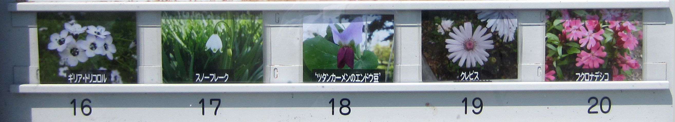 ����4
