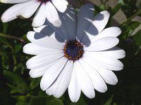 �I�X�e�I�X�y���}��21