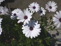 �I�X�e�I�X�y���}��22