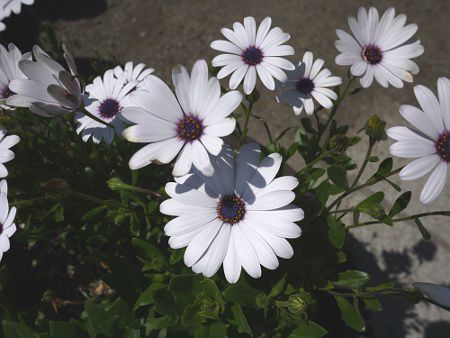 �I�X�e�I�X�y���}��22