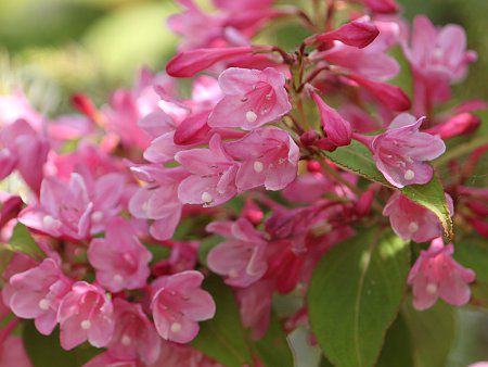 �^�j�E�c�M16