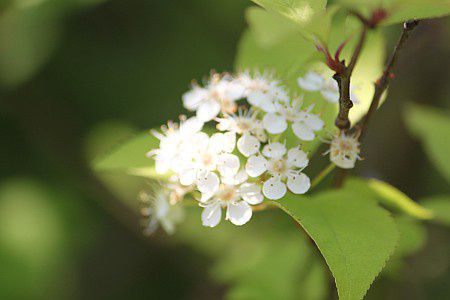 ���m����
