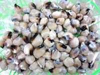 �G���g���r