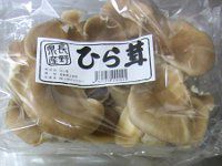 �q���^�P�i�����j