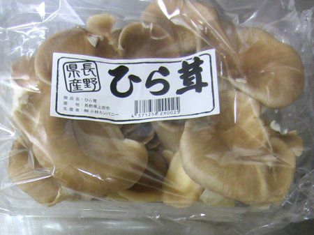 �q���^�P�i�����j
