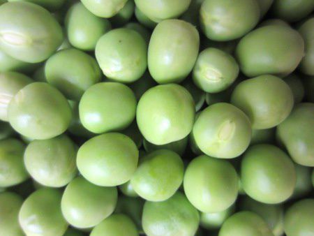 �O���[���s�[�X