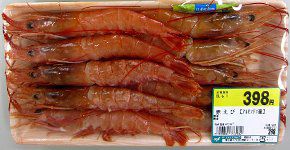 �A���[���`���A�J�G�r