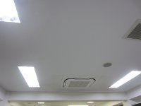 �Ɩ��F��