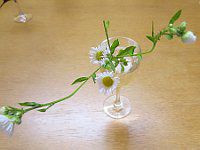 �q���W����