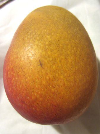 �}���S�[(Mango)