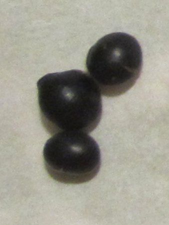 16����