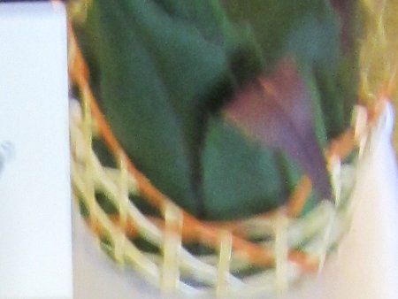 �L���W�h�E(������)