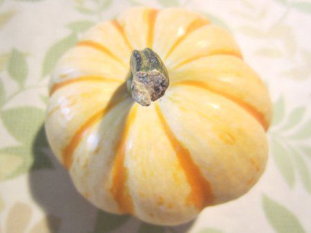 �~�j�J�{�`���i�v�b�`�B�[�j�j