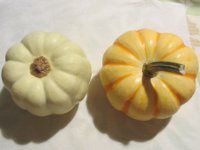 �v���V���J�{�`���ƃe-�u���N�C�[��