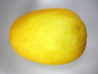 �}�N���E���i�^�K�Z�j