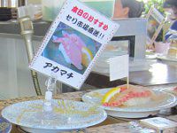 �A�J�}�`(�n�}�_�C�E�I�i�K)