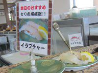 �C���u�`���[(�u�_�C�̒���)