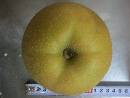 �K����