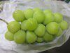 �V���C���}�X�J�b�g1