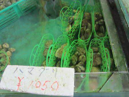 �n�}�O���i���j