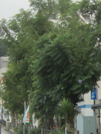 �M�C�W���J�����_