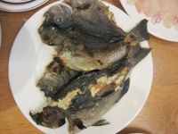 �O�����Ă�